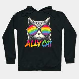 Ally Cat Transgender Trans Pride Stuff Flag Transsexual Lgbt Hoodie